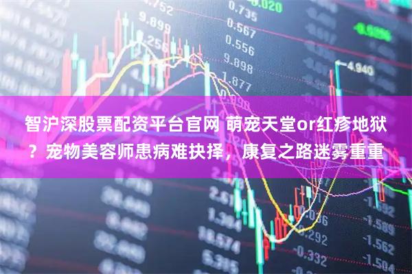 智沪深股票配资平台官网 萌宠天堂or红疹地狱？宠物美容师患病难抉择，康复之路迷雾重重