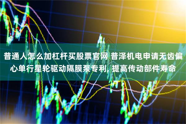 普通人怎么加杠杆买股票官网 普泽机电申请无齿偏心单行星轮驱动隔膜泵专利, 提高传动部件寿命