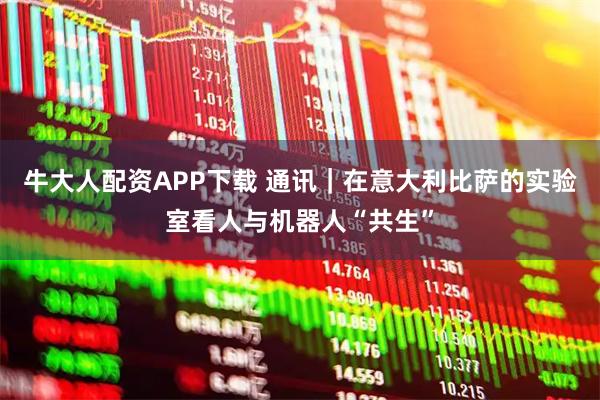 牛大人配资APP下载 通讯｜在意大利比萨的实验室看人与机器人“共生”
